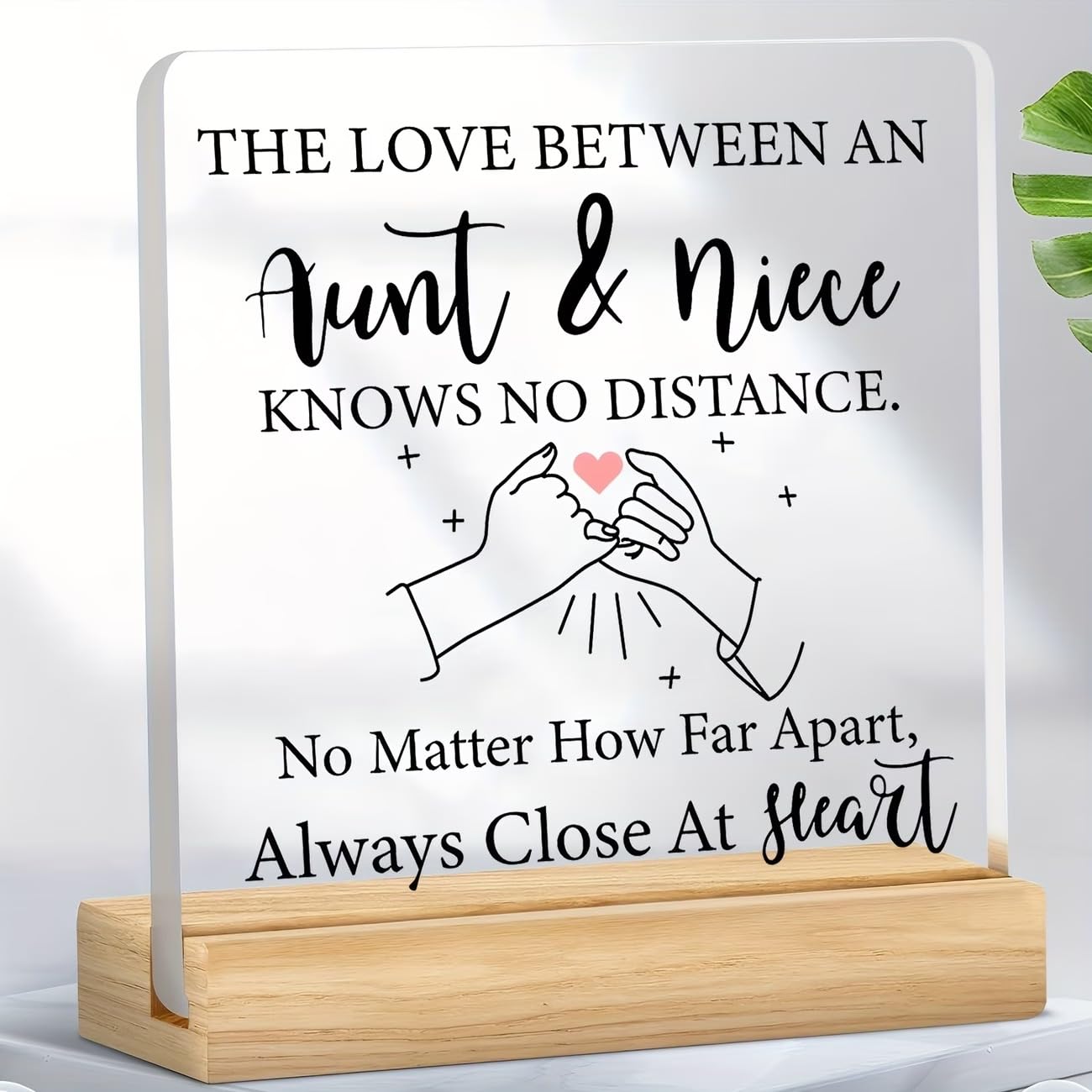 SNAPTRAP Aunt Niece Gift Acrylic Plaque with Wooden Base Stand - Default Title
