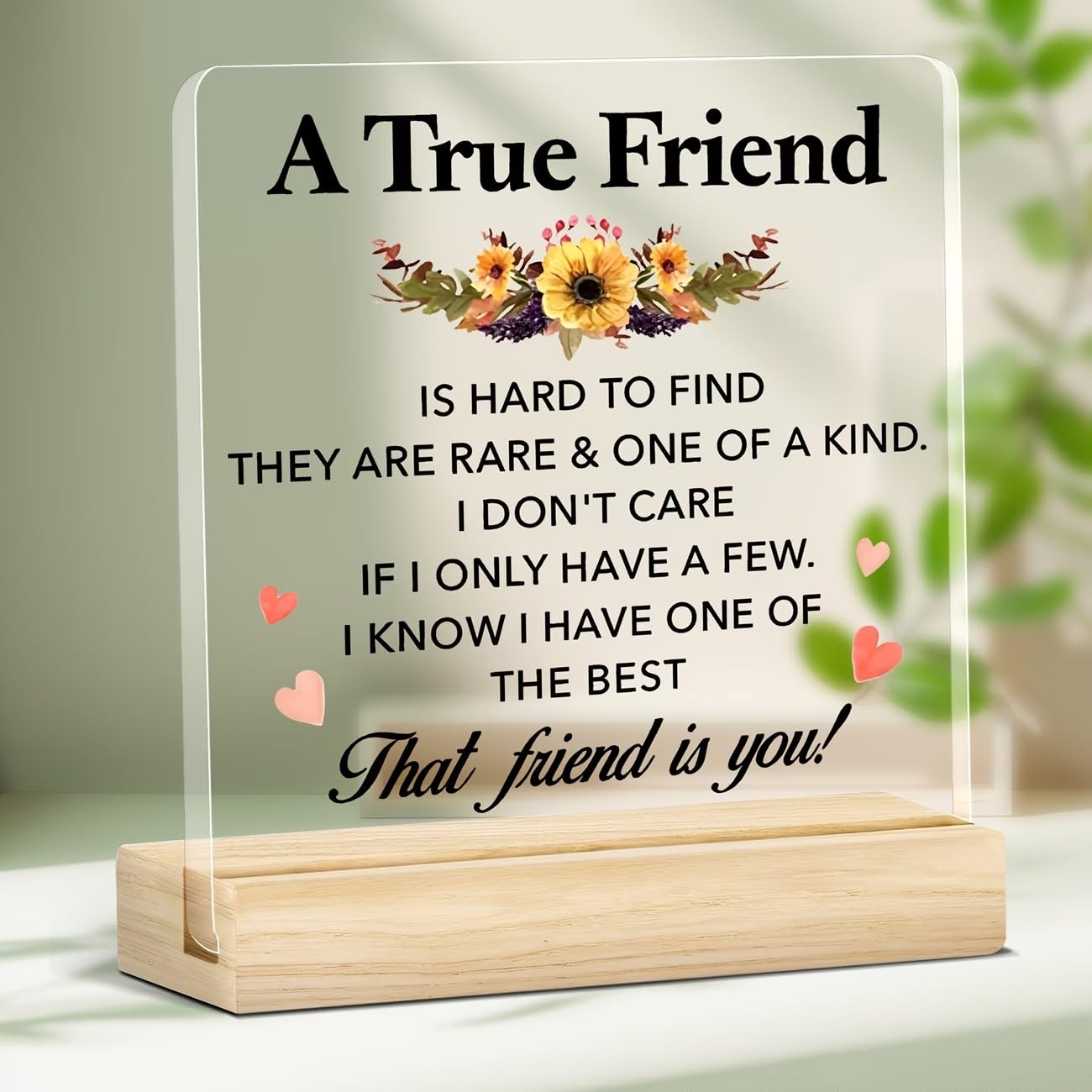 SNAPTRAP Friendship Acrylic Plaque with Wooden Base Stand - Default Title